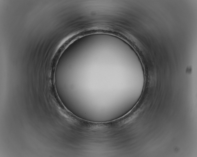 X0000091860830200709261253