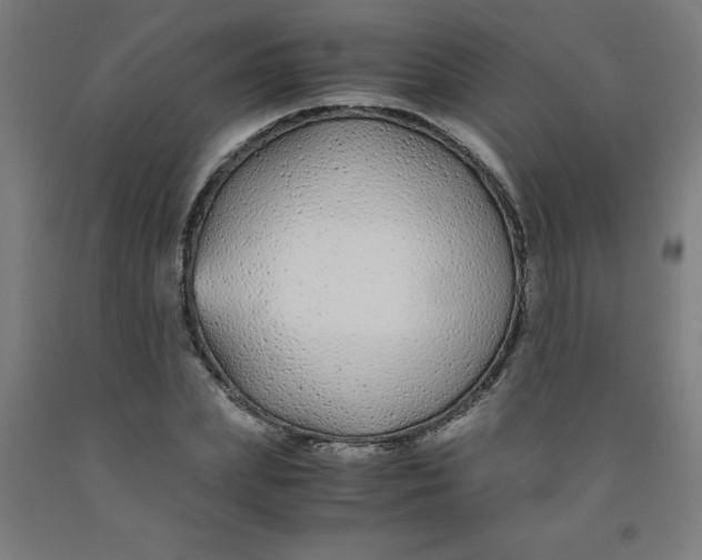 X0000091860831200709261253