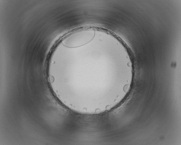 X0000091860832200709261253