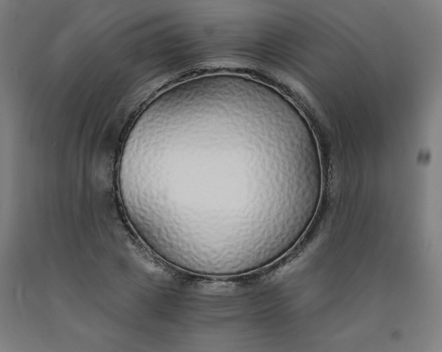 X0000091860833200709261253