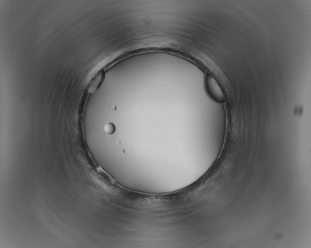 X0000091860834200709261253