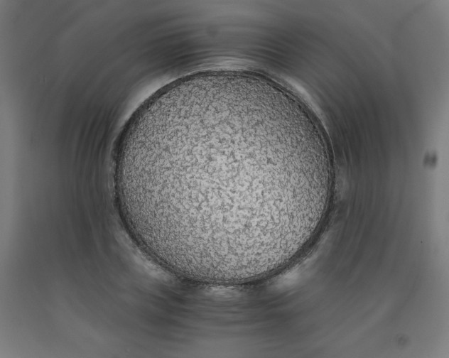 X0000091860835200709261253