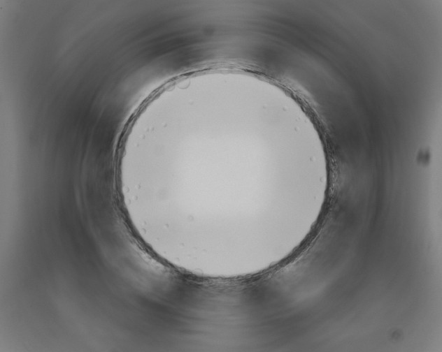 X0000091860836200709261253