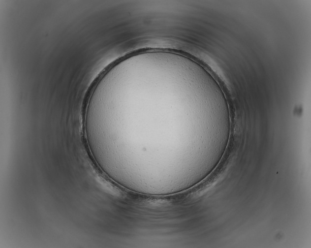 X0000091860837200709261253