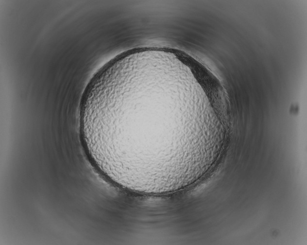 X0000091860839200709261253