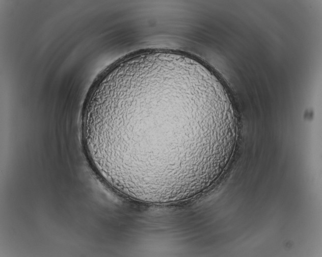 X0000091860840200709261253