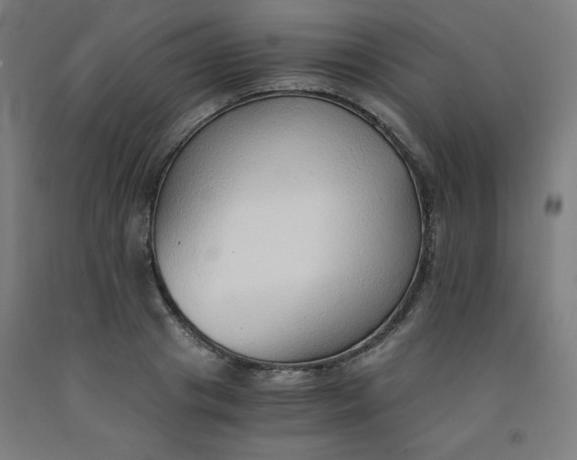 X0000091860841200709261253