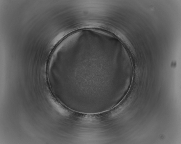 X0000091860842200709261253