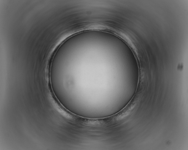 X0000091860843200709261253