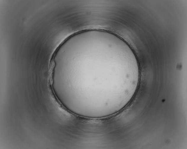 X0000091860844200709261253