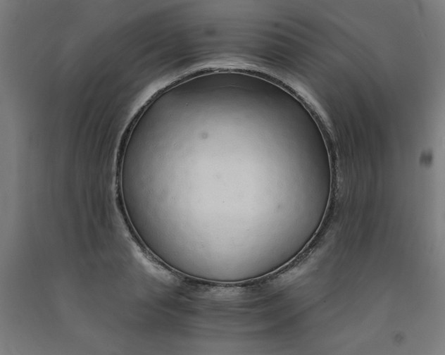 X0000091860845200709261253