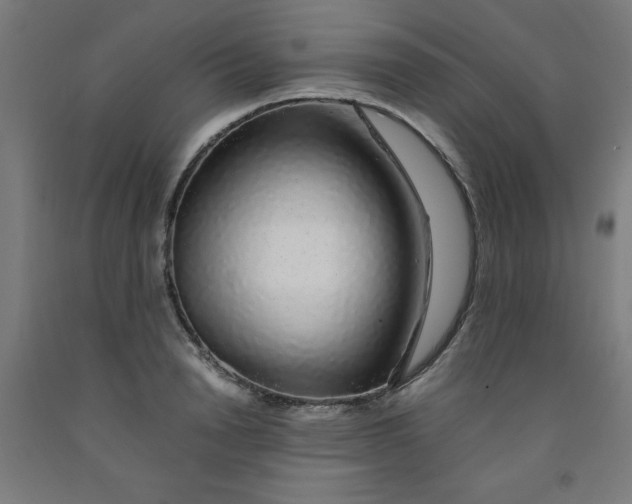 X0000091860846200709261253