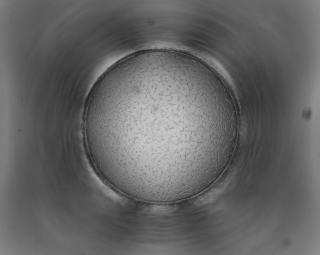 X0000091860847200709261253