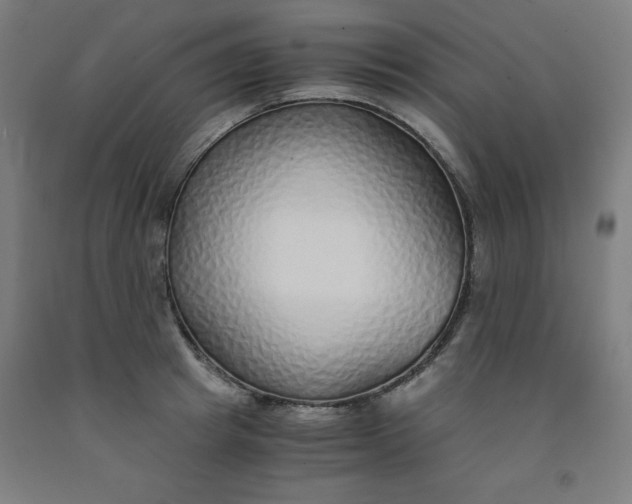 X0000091860849200709261253