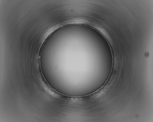 X0000091860850200709261253