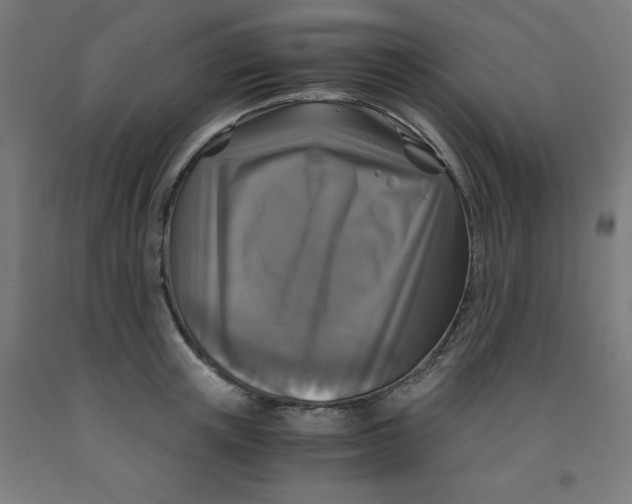 X0000091860851200709261253