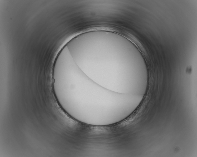 X0000091860852200709261253