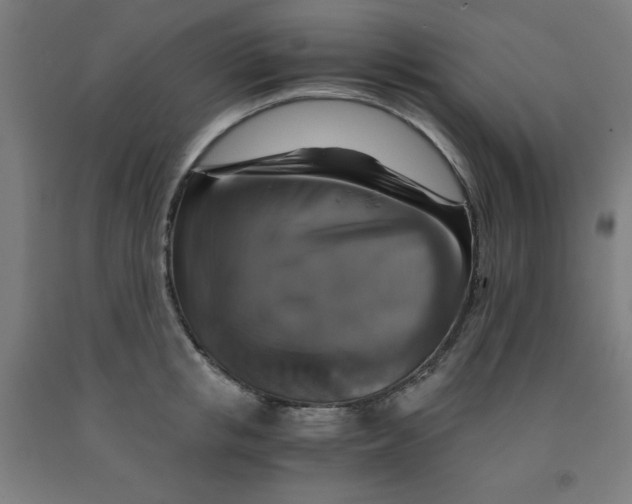 X0000091860853200709261253