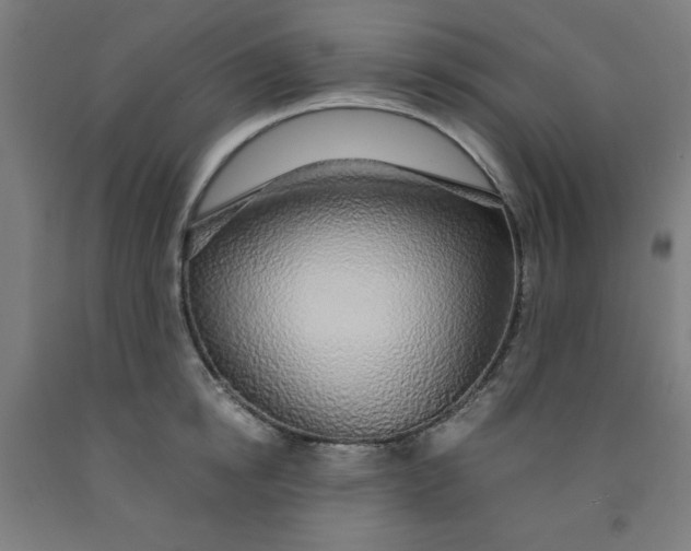 X0000091860854200709261253