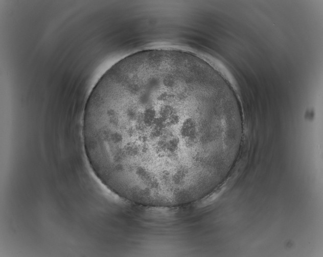 X0000091860855200709261253