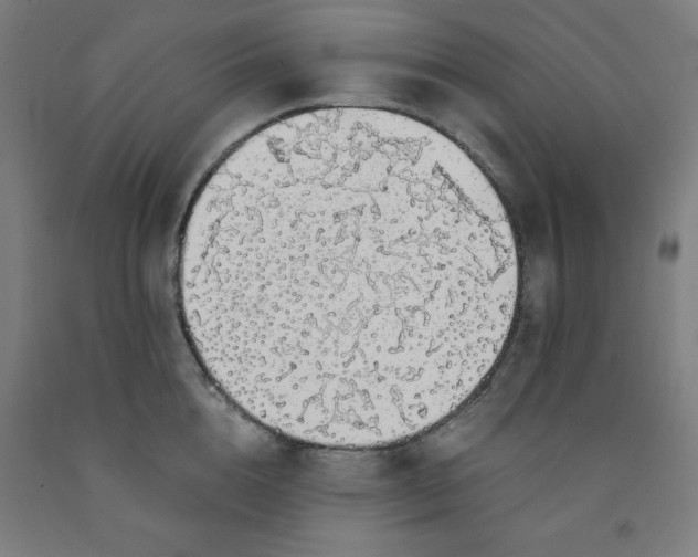 X0000091860856200709261253