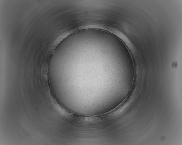 X0000091860857200709261253