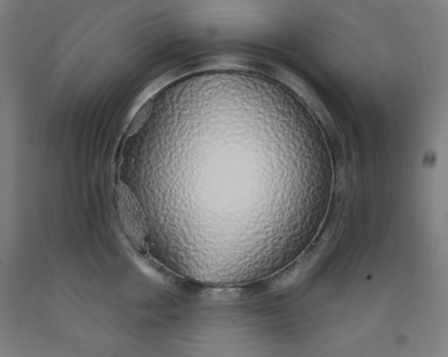 X0000091860858200709261253