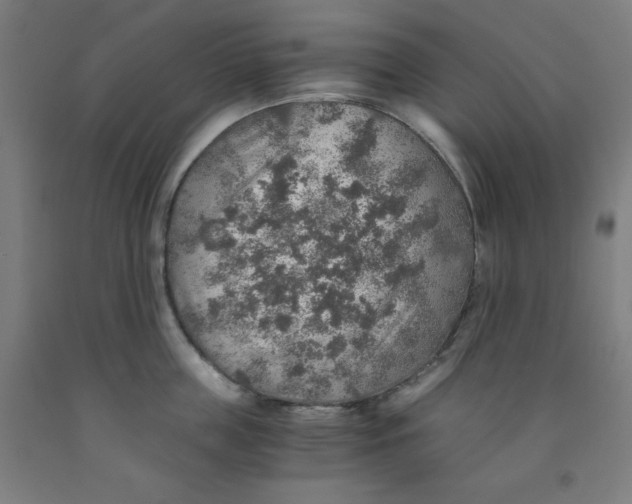 X0000091860859200709261253