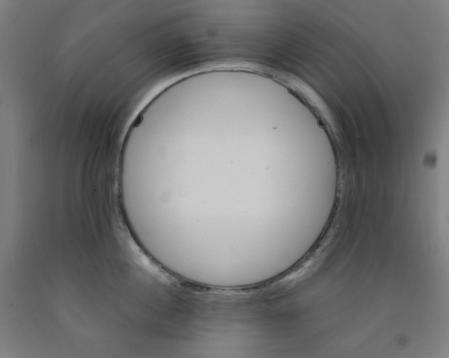 X0000091860860200709261253