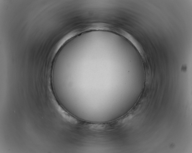 X0000091860861200709261253