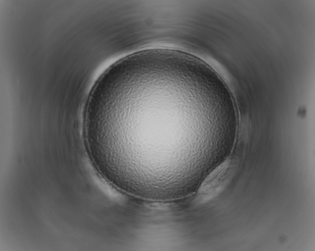 X0000091860862200709261253