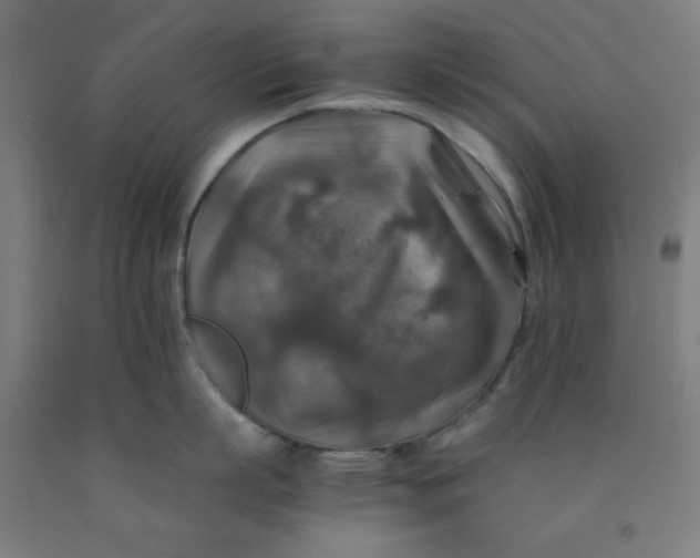 X0000091860863200709261253