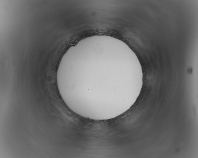 X0000091860865200709261252