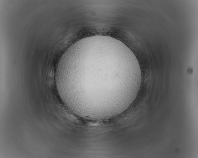 X0000091860866200709261252