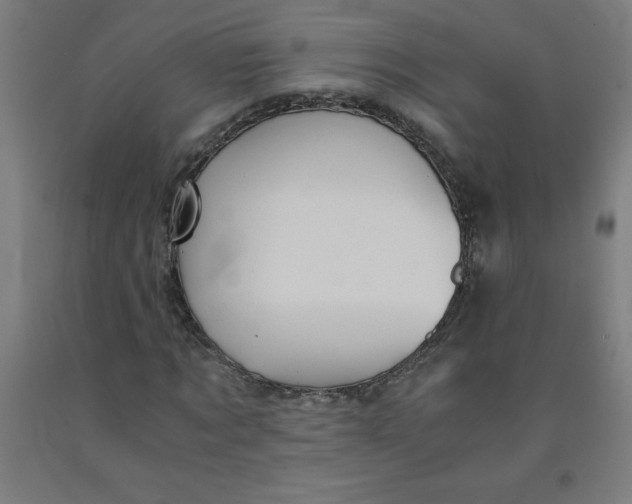 X0000091860869200709261252