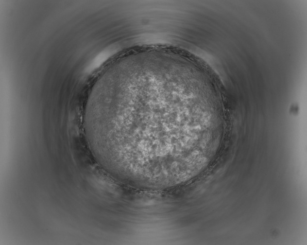 X0000091860871200709261252