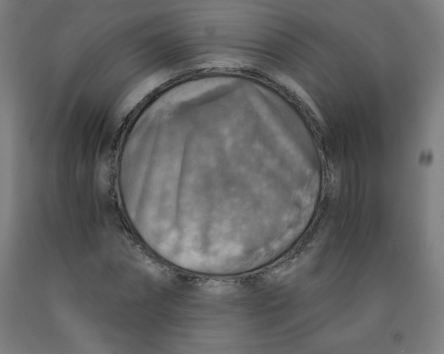 X0000091860874200709261252