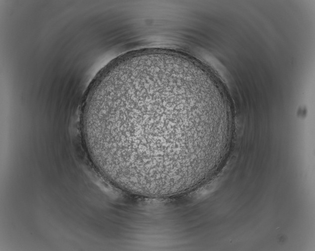 X0000091860875200709261252