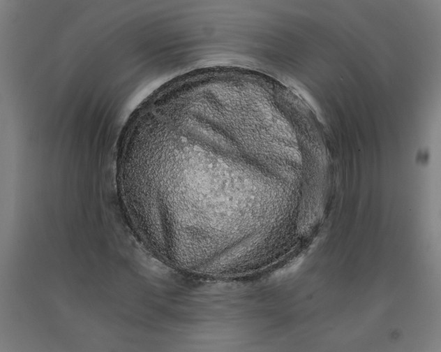 X0000091860877200709261252