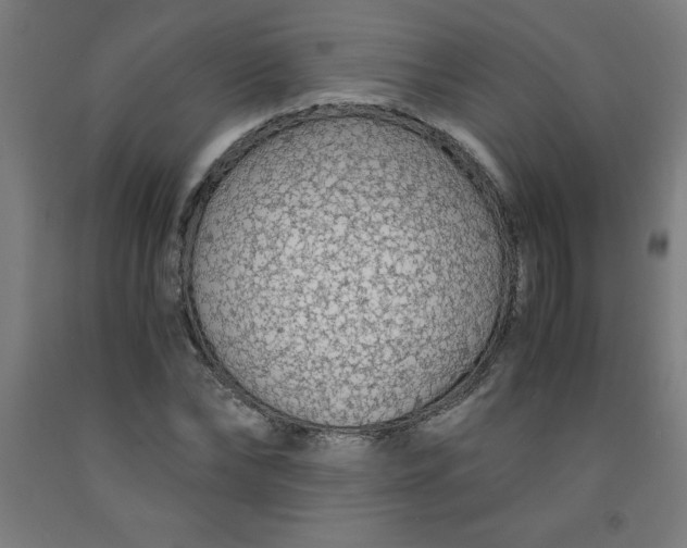 X0000091860878200709261252