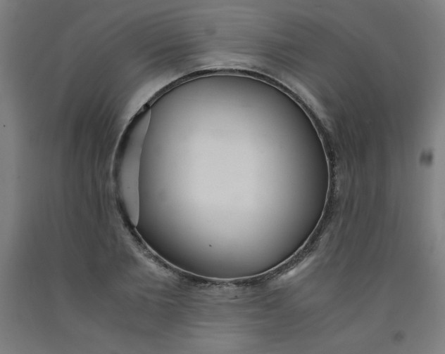 X0000091860885200709261252