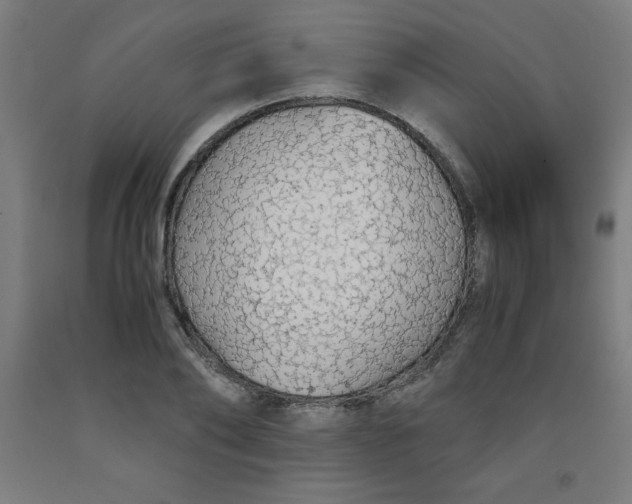 X0000091860886200709261252