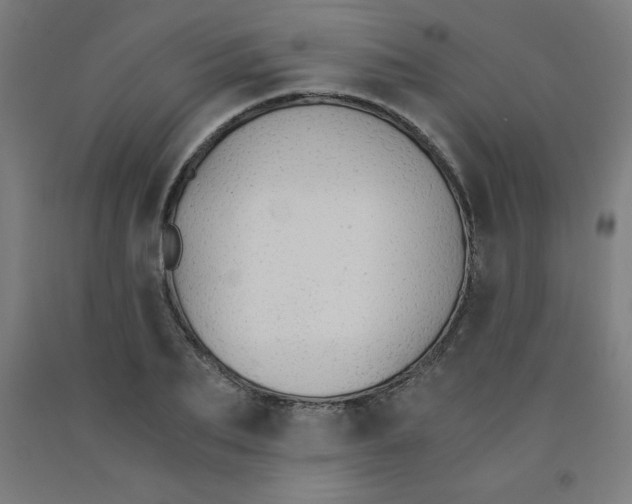 X0000091860887200709261252