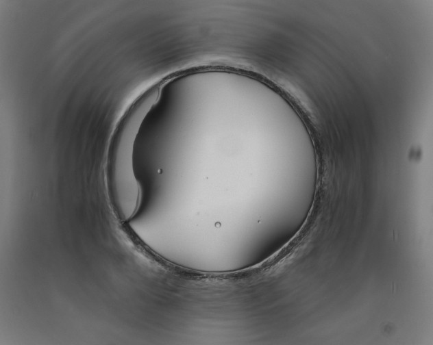 X0000091860888200709261252