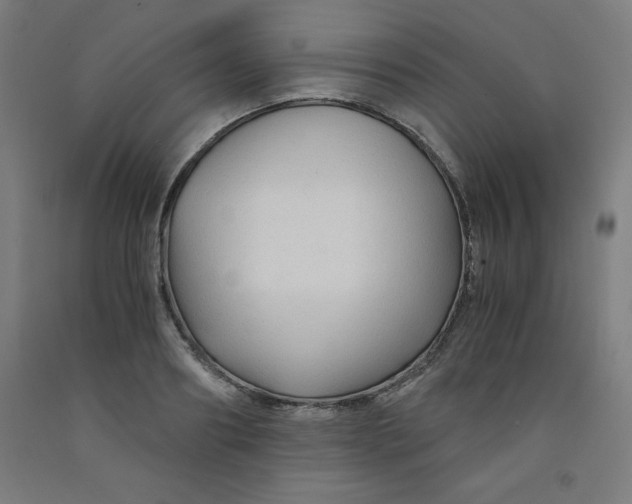 X0000091860890200709261252