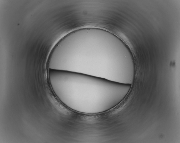 X0000091860892200709261252