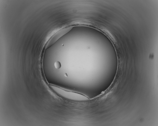 X0000091860893200709261252