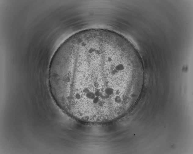 X0000091860895200709261252