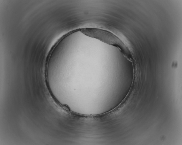 X0000091860896200709261252