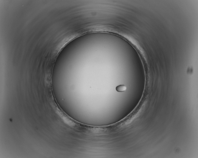 X0000091860897200709261252